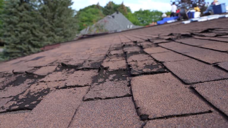 Best Metal Roofing Installation  in Minco, OK